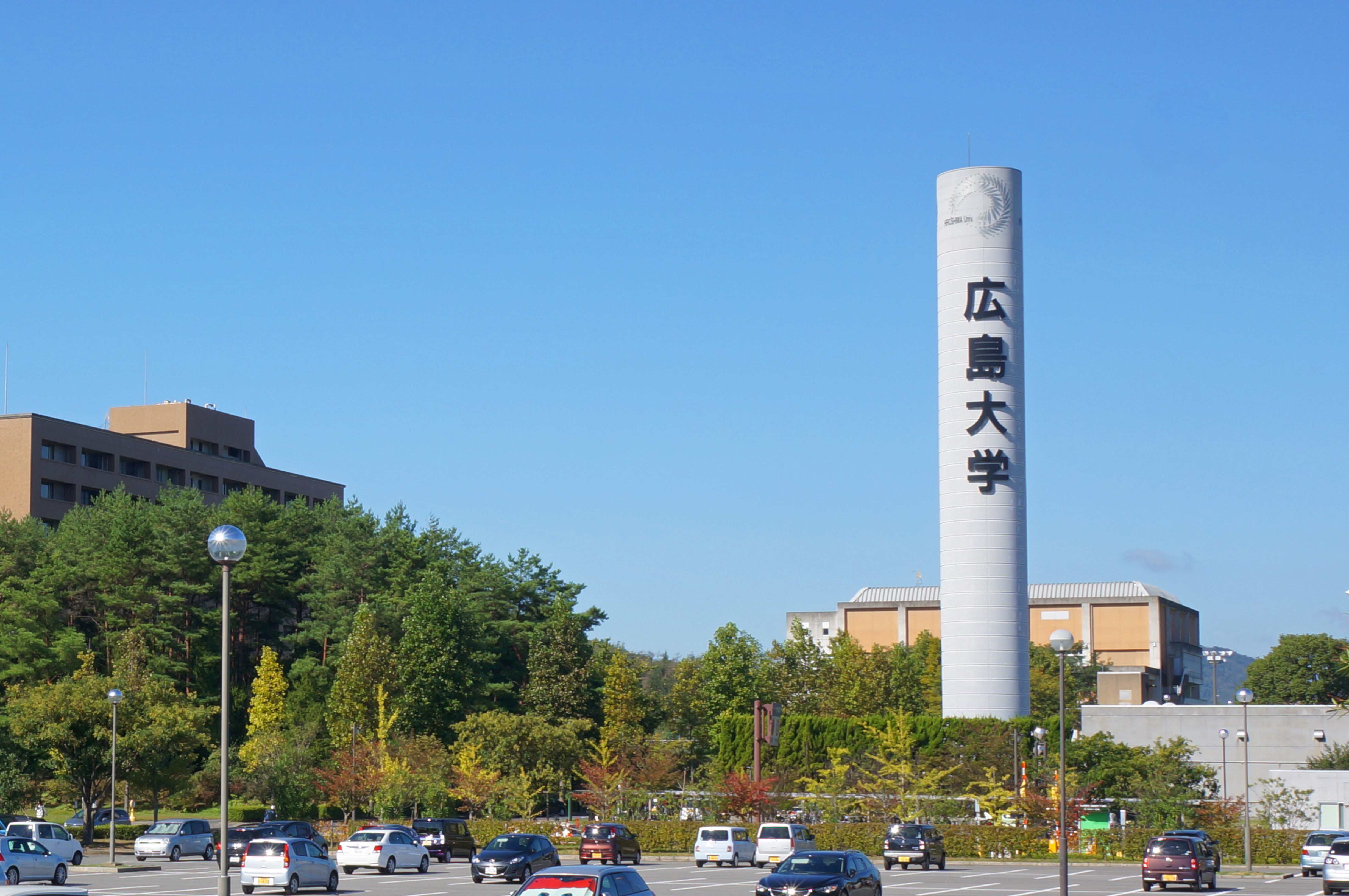 るい 大学 鮫島 近畿